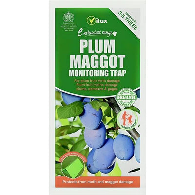Vitax Plum Maggot Trap